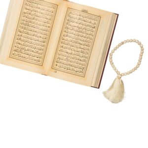 Bible